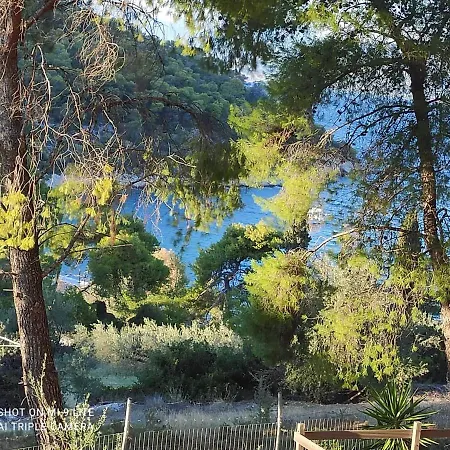 Tsuderos Κατακάλι